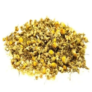 CAMOMILA (CHA)
