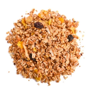 GRANOLA PREMIUM COM AÇUCAR MASCAVO
