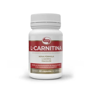 L CARNITINA 530MG VITAFOR 60 CAPS
