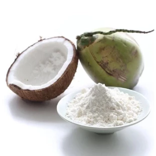 LEITE DE COCO EM PO (VEGANO)