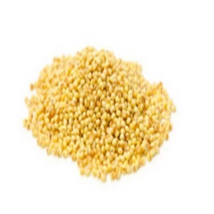 PAINCO AMARELO NACIONAL